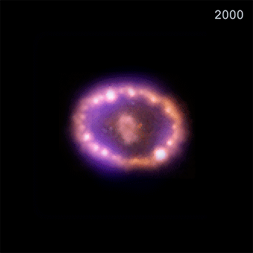 C’est une étoile nommée Sanduleak 202, une supergéante bleue, qui a donné naissance à la supernova 1987 A. © Radio : Alma (ESO/Naoj/Nrao), P. Cigan and R. Indebetouw; Nrao/AUI/NSF, B. Saxton ; X-ray : Nasa/CXC/SAO/PSU/K. Frank et al. ; Optical : Nasa/STScI