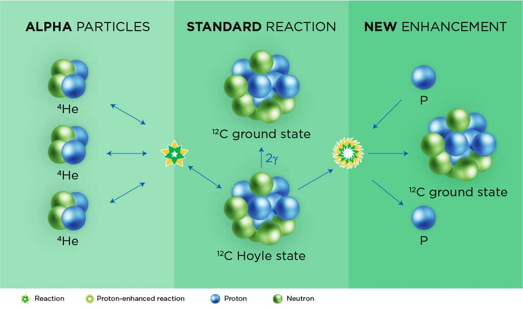 Au cours du processus triple alpha, les étoiles fusionnent trois noyaux d’hélium — sur le dessin de gauche — pour former un atome de carbone portant un surplus d’énergie — état de Hoyle au centre. Celui-ci peut à nouveau se diviser en trois particules alpha ou passer dans son état fondamental en libérant des rayons gamma. Au cœur des supernovae, des protons supplémentaires peuvent aider à stabiliser le carbone — dessin de droite. © <em>Facility for Rare Isotope Beams</em>