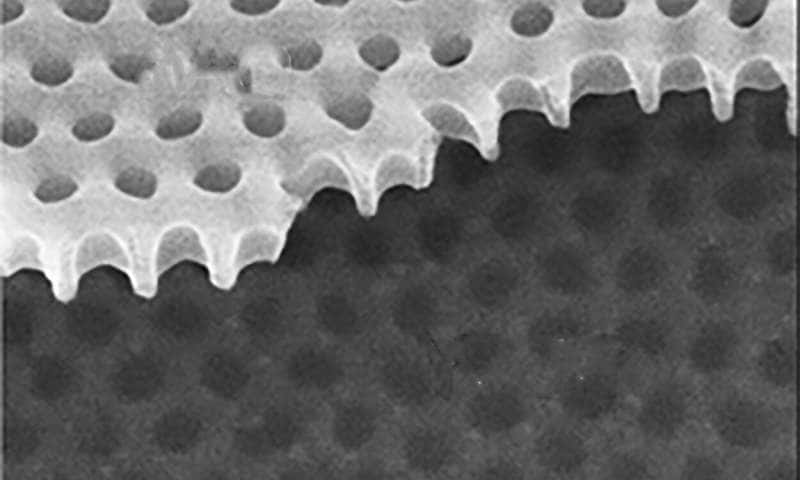 Au microscope électronique à balayage, le matériau supraconducteur utilisé dans l’expérience menée par les physiciens de l’université de Brown (États-Unis). © Valles lab, université de Brown