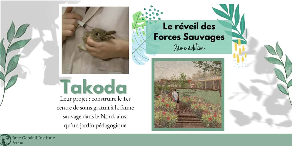 L’association Takoda veut créer un centre de soins pour animaux sauvages. © <em>Jane Goodall Institute France</em>