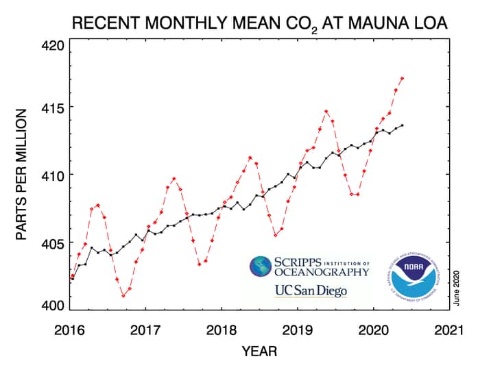 Ici, les enregistrements de ces quatre dernières années à l’observatoire de Mauna Loa (Hawaï). En rouge, les données mensuelles qui montrent bien une variabilité saisonnière naturelle. En noir, la tendance moyenne. © NOAA