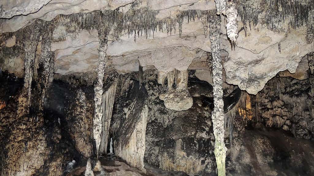 Grâce à ce genre de stalactites, les chercheurs ont également mesuré un niveau de la mer à 23,5 mètres il y a 4 millions d’années. Les températures étaient alors supérieures de 4 °C aux niveaux préindustriels. Un scénario toujours envisageable dans le contexte de réchauffement climatique actuel. © Université du Nouveau-Mexique