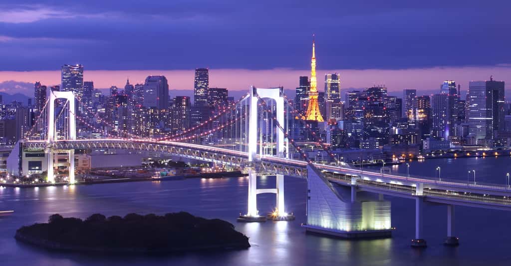 Au cours du XX<sup>e</sup> siècle, la ville de Tokyo a connu un affaissement de 4 mètres qui a pu être ralenti par un arrêt des extractions d’eau souterraine. © torsakarin, Adobe Stock