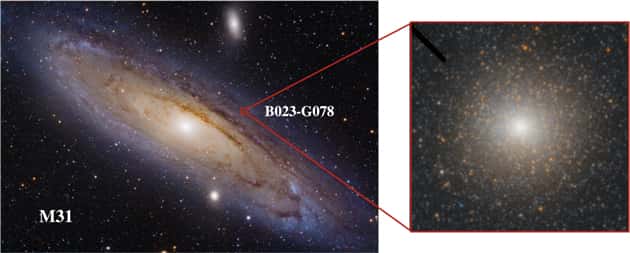Zoom sur B023-G078, un <em>« noyau dépouillé »</em> de la périphérie de la galaxie d’Andromède dans lequel des chercheurs de l’université de l’Utah (États-Unis) montrent qu’il se cache un trou noir intermédiaire. © Ivan Eder, HST ACS/HRC