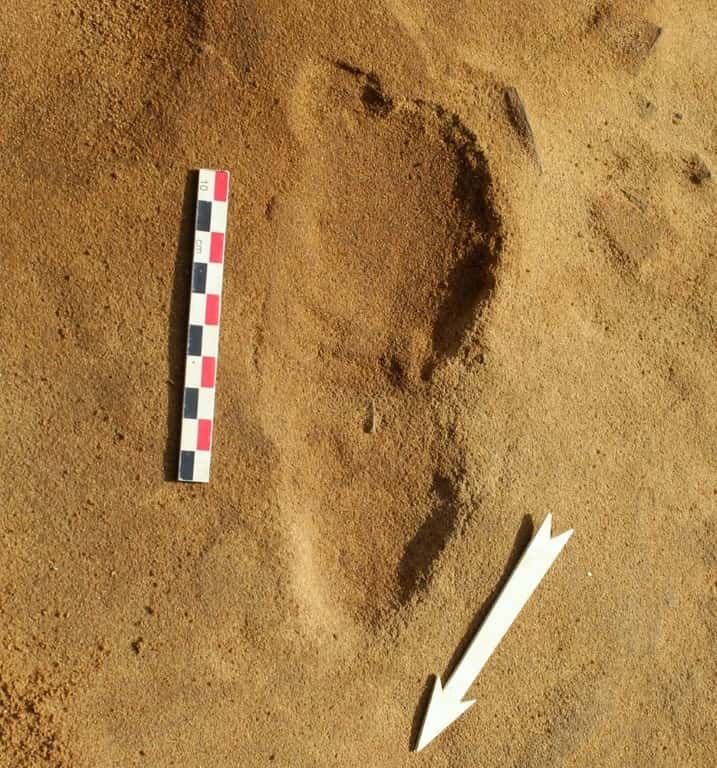 Jamais autant de traces de pas de Néandertaliens n'avaient été découvertes d'un coup. Une trace de pas d'un Néandertalien sur le site du Rozel, en France. © Dominique Cliquet, AFP