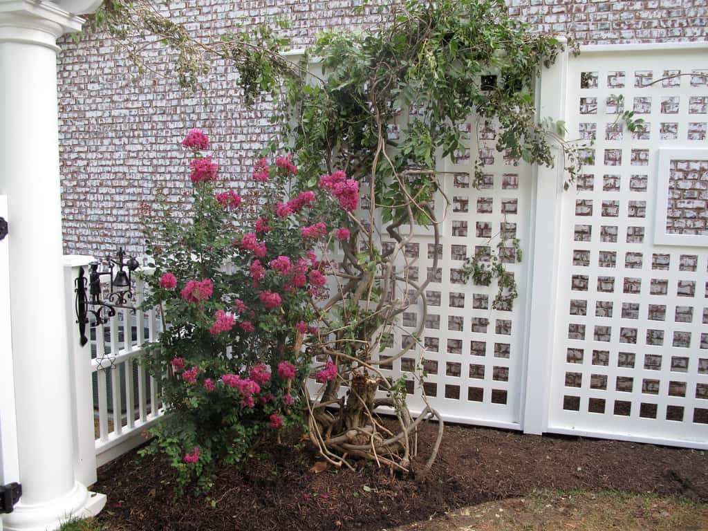 Un treillage de jardin peut cacher un mur. © Gregs Landscaping, Flickr, CC by 2.0
