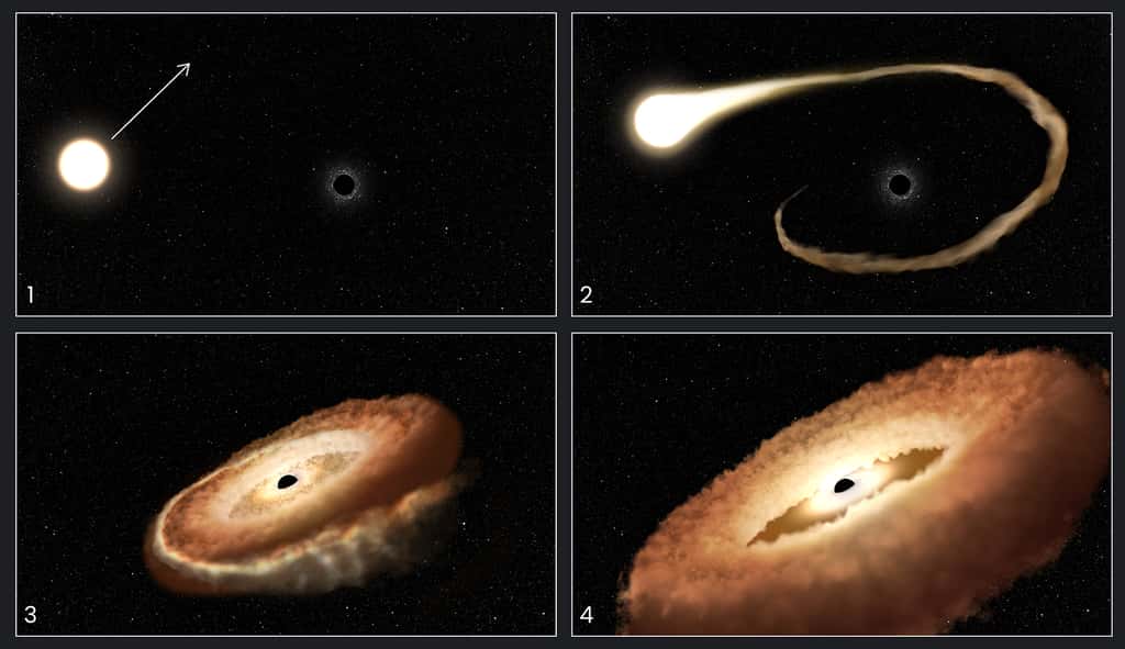 Cette illustration montre les étapes qui ont mené l’étoile à être transformée en donut cosmique par un trou noir. 1. Une étoile passe près d’un trou noir supermassif au centre d’une galaxie. 2. Ses gaz extérieurs sont attirés par le champ gravitationnel du trou noir. 3. L’étoile est déchiquetée par les forces de marée. 4. Les restes de l’étoile sont attirés dans un anneau en forme de donut. Ils finiront par tomber dans le trou noir, libérant une énorme quantité de lumière et de rayonnement à haute énergie. © Nasa, ESA, Leah Hustak (STScI)