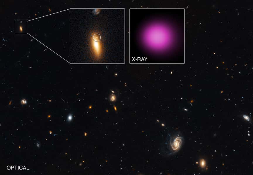 Cette image a été prise dans le visible par le télescope Hubble dans la bande de Groth étendue. Un zoom sur une galaxie lenticulaire montre une source lumineuse indiquée par un cercle. Un autre zoom, cette fois-ci avec Chandra, montre une source X en fausse couleur (mauve). © Rayons X : Nasa/CXC/UNH/D.Lin <em>et al.</em> ; visible : Nasa/STScI