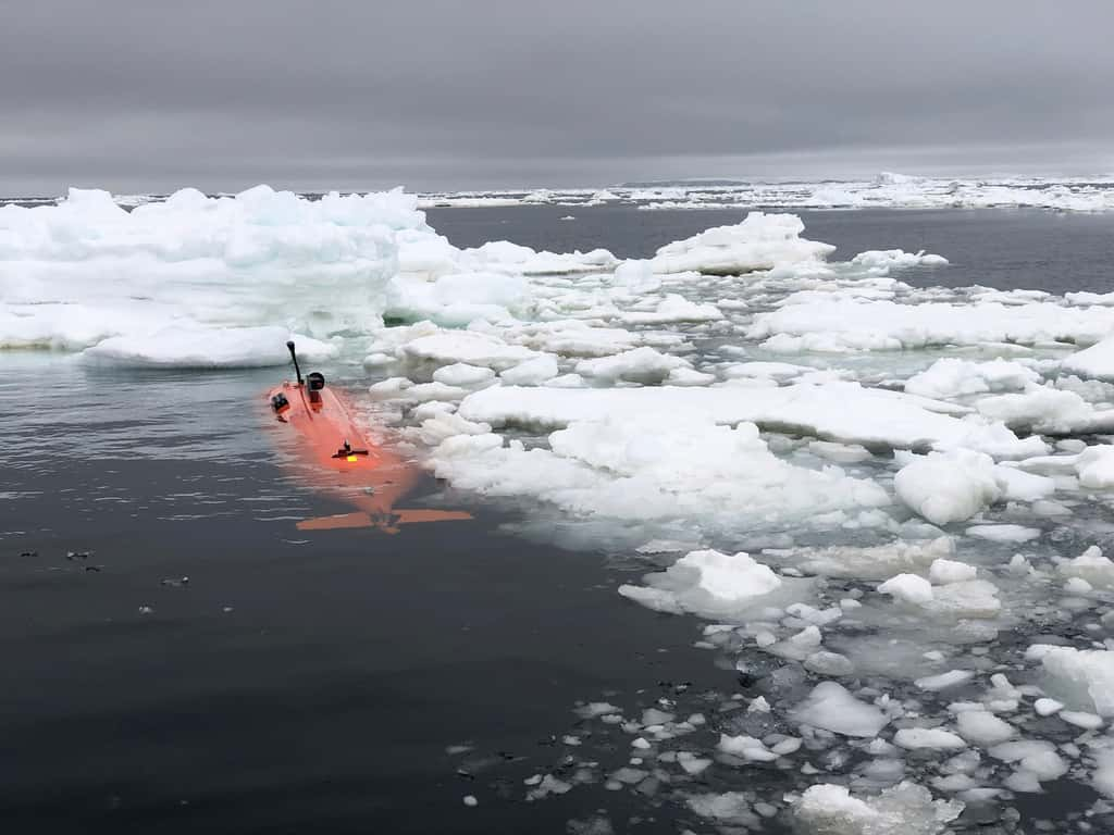 Après une première expédition en 2022, les chercheurs sont retournés en Antarctique de l’Ouest en 2024. Ils ont alors perdu leur <em>Ran</em> sous la glace. © Filip Stedt, Université de Götebor