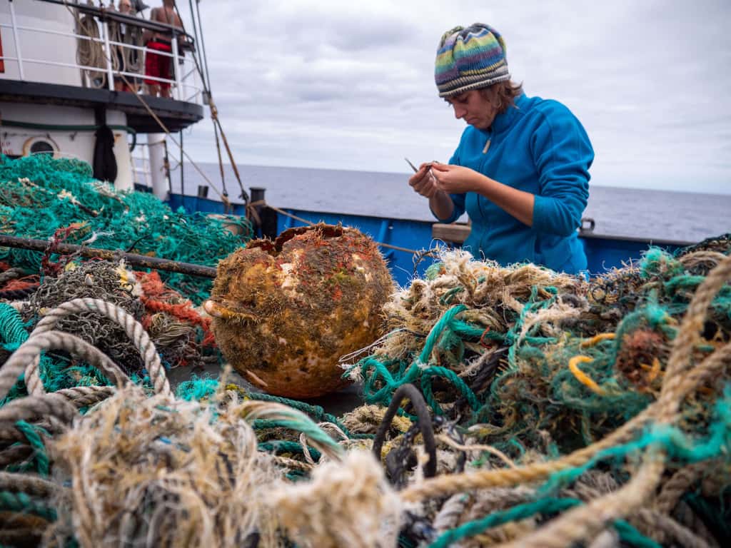 Les chercheurs du Centre Smithsonian de recherches sur l’environnement (SERC, États-Unis) ont travaillé à partir d’échantillons de déchets plastiques récoltés du côté du vortex de déchets du Pacifique Nord par l’<em>Ocean Voyages Institute</em>. © <em>Ocean Voyages Institute 2020 Gyre Expedition</em>