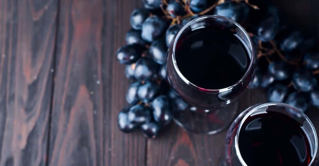 Comment transformer du raisin en vin ? © Yuliia Mazurkevych, Shutterstock