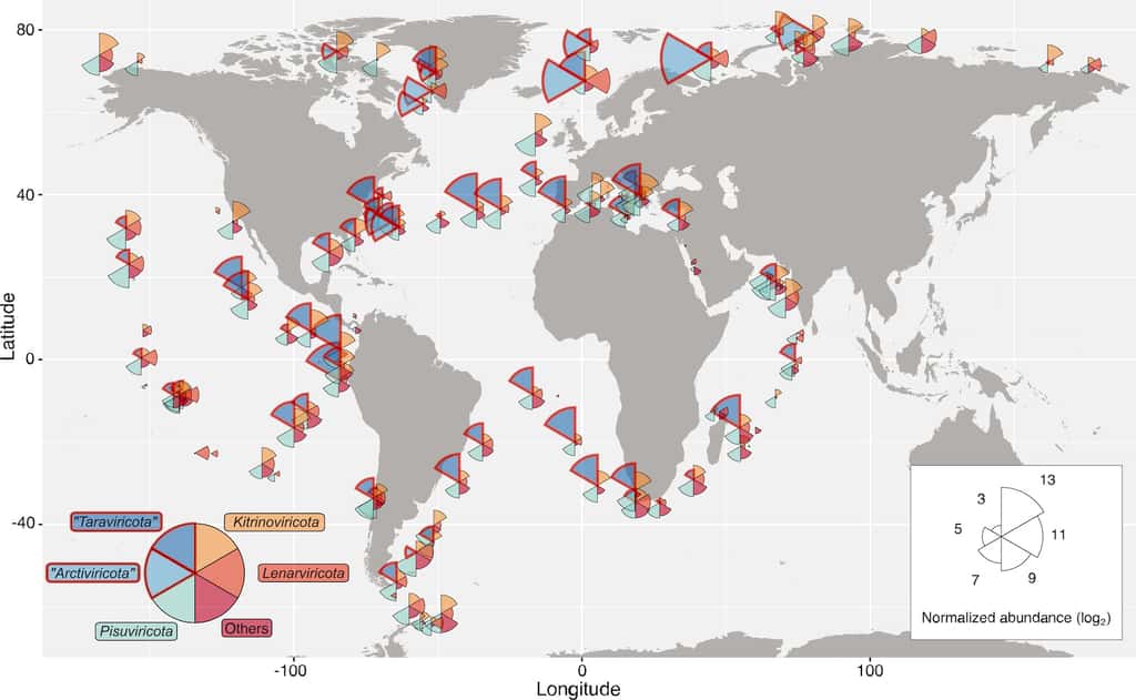 Une carte de la distribution des nouveaux virus à ARN identifiés dans les océans par des chercheurs de l’université de l’État de l’Ohio (États-Unis). La taille de la portion est proportionnelle à l’abondance des virus dans une région. La couleur donne le groupe biologique. © Zayed et al., Université de l’État de l’Ohio