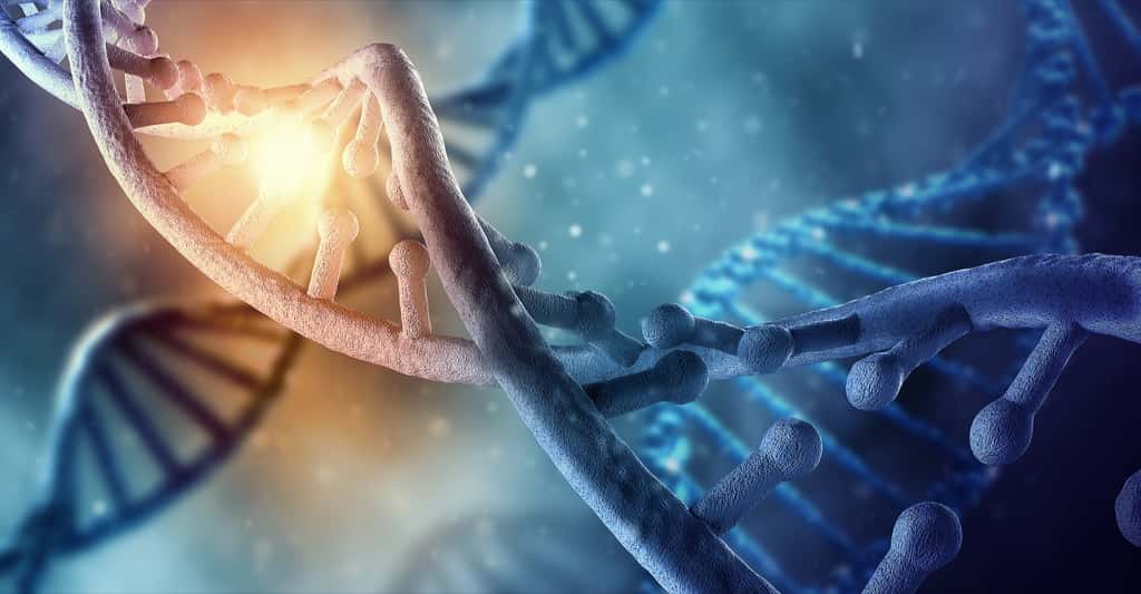 Les modifications épigénétiques, comme la méthylation des cytosines, ne touchent pas la séquence d’ADN mais influencent l’expression des gènes. © ESB Professional, Shutterstock