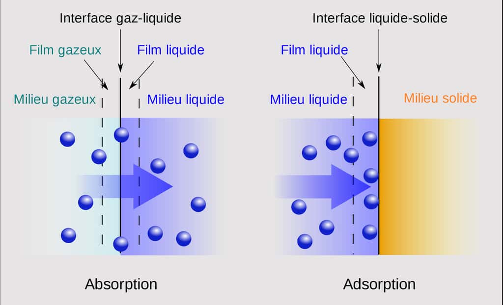 Illustration de deux phénomènes de sorption : absorption et adsorption. © Daniele Pugliesi, <em>Wikimedia Commons</em>, CC BY-SA 3.0