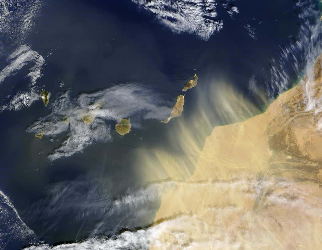 Transports de poussières/aérosols jusqu'aux îles Canaries à partir du Sahara (Image Terra/MODIS 17.02.2004). © Nasa, domaine public 
