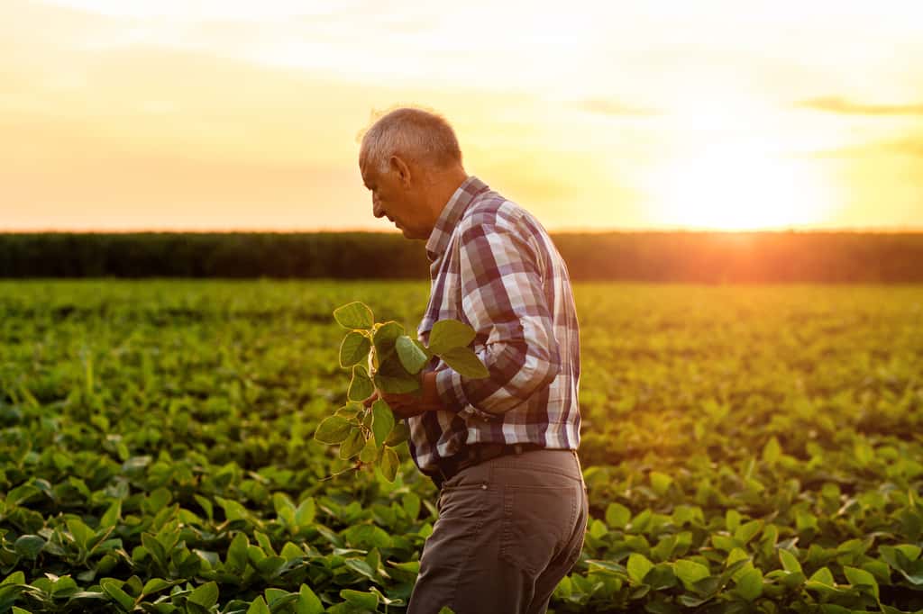 Les agriculteurs sont les premières victimes des conséquences sur la santé des pesticides. France Nature Environnement plaide pour un meilleur accompagnement de ceux-ci, ainsi que pour une réorientation des aides publiques. © Zoran Zeremski, Adobe Stock