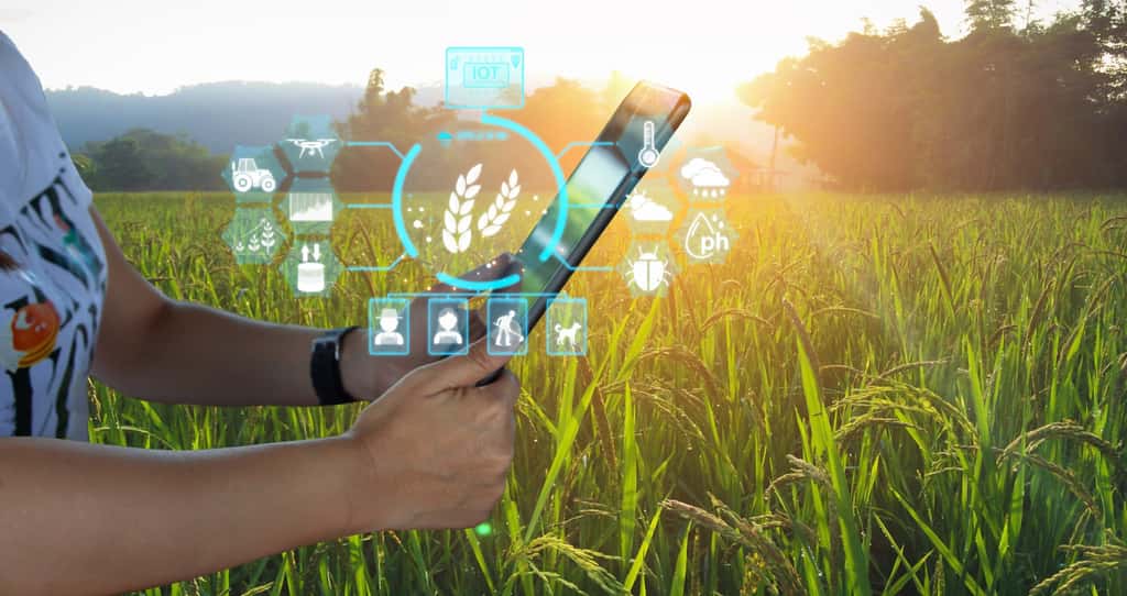Dans le domaine agricole, les innovations technologiques intègrent des outils d'aide à la décision et permettent d'ajuster au plus prêt les apports en engrais pour mieux s'inscrire dans la dynamique du développement durable. © Manitchaya, Adobe Stock