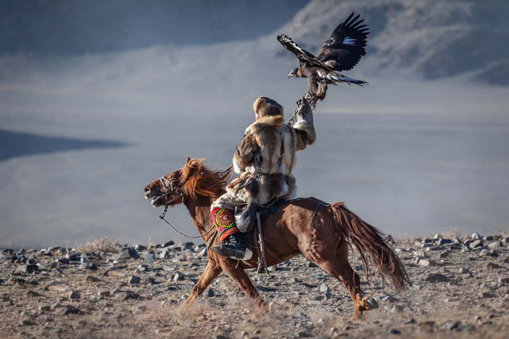 On a retrouvé des cimetières de chevaux dans les steppes eurasiennes, inhumés avec les honneurs par les peuples nomades scythes et mongols. © Katya Tsvetkova, Adobe Stock