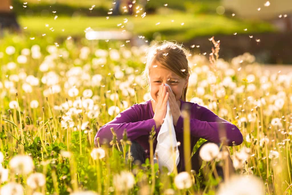 Les allergies aux pollens sont particulièrement fréquentes. © Kzenon, Adobe Stock