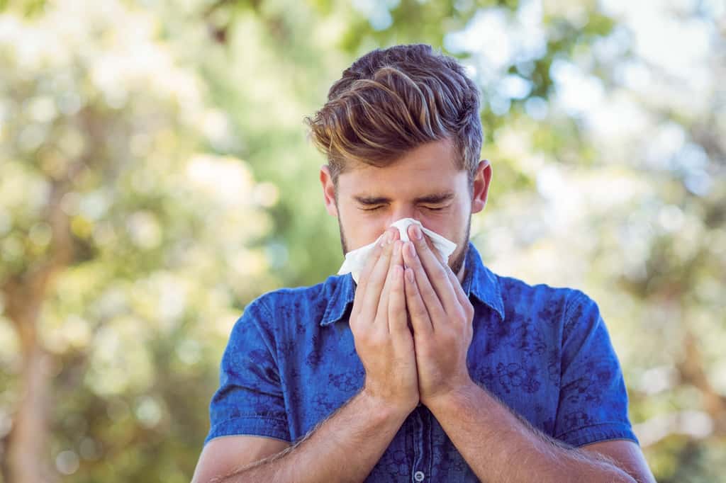 Les allergies peuvent être très handicapantes au quotidien, notamment si elles occasionnent d’autres réactions comme de l’asthme. © WavebreakMediaMicro, Adobe Stock. 