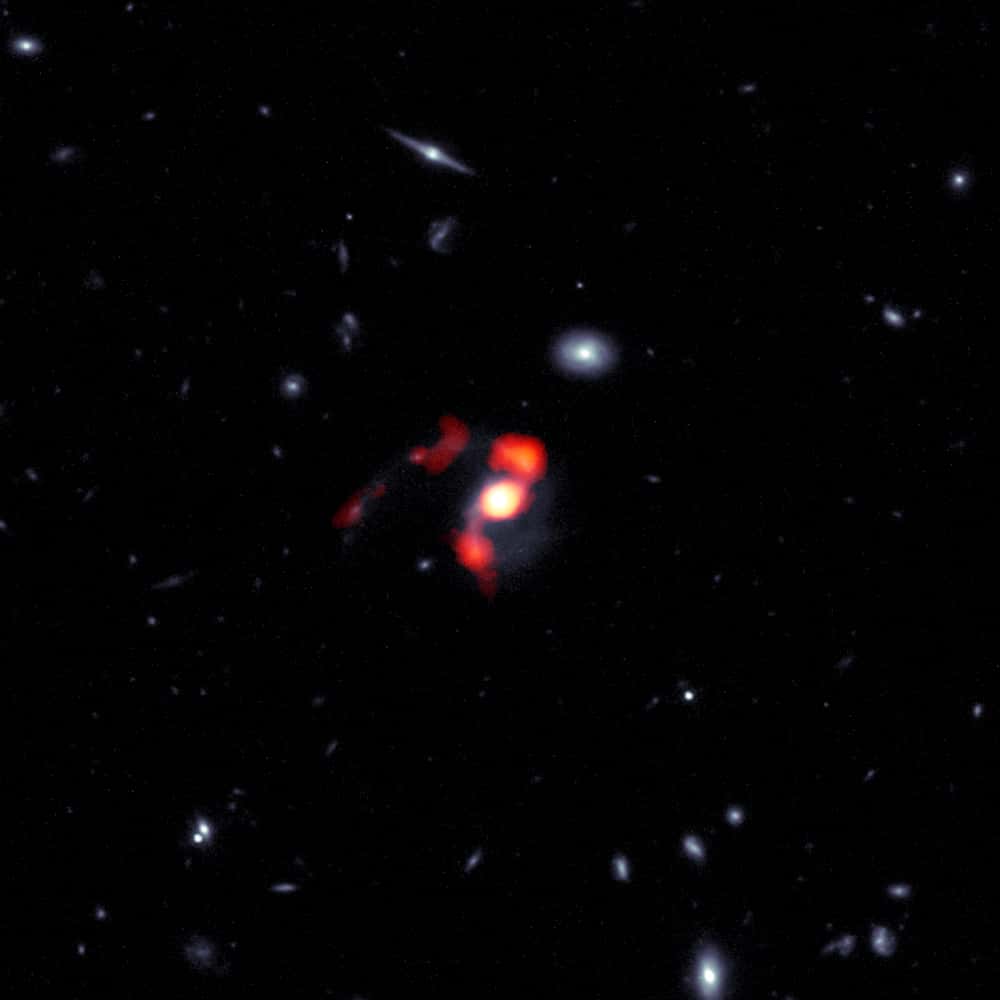 SDSS J1448 + 1010 est une galaxie massive nouvellement « morte » qui est née lorsque l'Univers avait environ la moitié de son âge actuel et qui est sur le point d'achever sa fusion avec une autre galaxie. Au cours de cette fusion, les forces de marée de la gravité ont projeté près de la moitié du gaz de formation d'étoiles loin de la galaxie finale actuelle, la laissant incapable de vraiment former de nouvelles étoiles. Cette image composite combine les données bleu/blanc du télescope spatial Hubble (HST) et les données rouge/orange de l'<em>Atacama Large Millimeter/submillimeter Array</em> (Alma) pour montrer la distribution post-fusion du gaz et des étoiles de la galaxie dormante dans des courants de matière connus sous le nom de queues de marée. © Alma (ESO/NAOJ/NRAO), J. Spilker et <em>al.</em> (Texas A&M), S. Dagnello (NRAO/AUI/NSF)