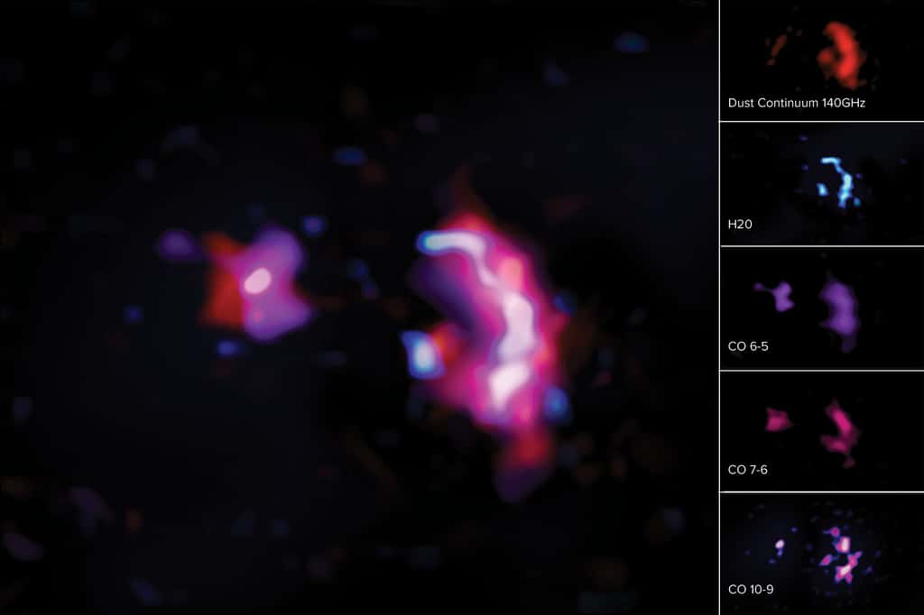 À gauche, ces images montrent en fausses couleurs des raies moléculaires et le rayonnement continu de la poussière observés avec Alma dans la paire de galaxies massives primitives connues sous le nom de SPT0311-58. À droite : le continuum de poussières vu en rouge (en haut), les raies moléculaires pour H<sub>2</sub>O montrée en bleu (2<sup>e</sup> à partir du haut), les transitions entre raies moléculaires pour le monoxyde de carbone, CO(6-5) indiqué en violet (au milieu), CO(7-6) indiqué en magenta (2<sup>e</sup> à partir du bas) et CO(10-9) indiqué en rose et bleu foncé (en bas). La poussière absorbe le rayonnement ultraviolet des jeunes étoiles en formation et le ré-émet sous forme de photons dans l'infrarouge lointain. Ces photons excitent ensuite les molécules d'eau, provoquant l'émission que les scientifiques sont capables d'observer avec Alma dans le domaine des micro-ondes. © Alma (ESO/NAOJ/NRAO)/S. Dagnello (NRAO)