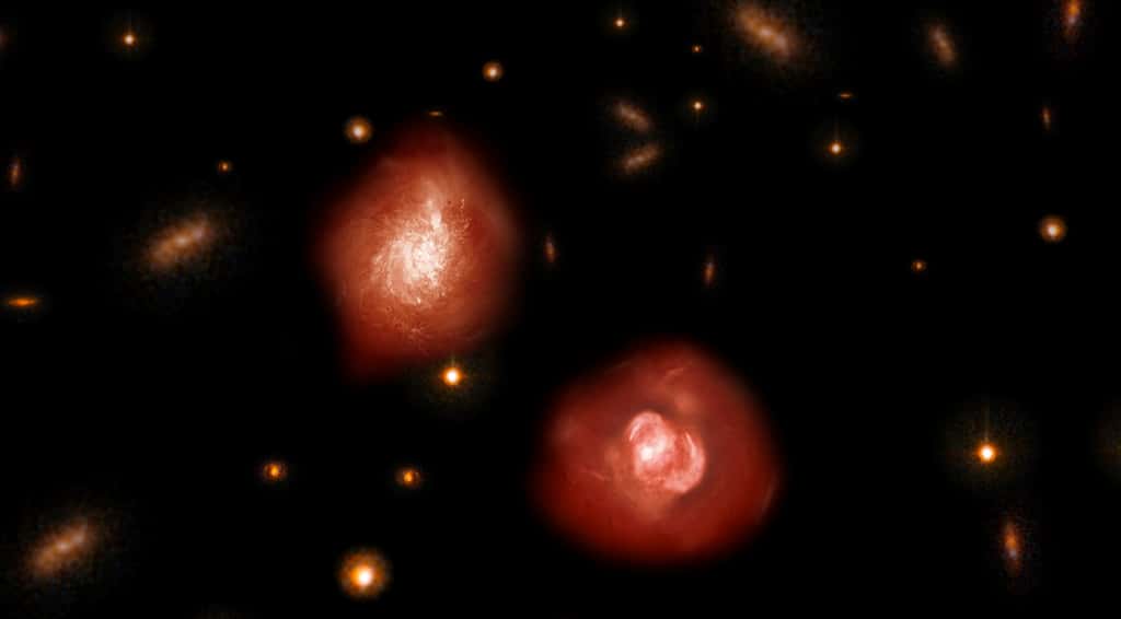 Une vue d'artiste de deux des galaxies elliptiques « noires » formant fiévreusement des étoiles il y a plus de 12 milliards d'années révélées par Alma. © National Astronomical Observatory of Japan (NAOJ)