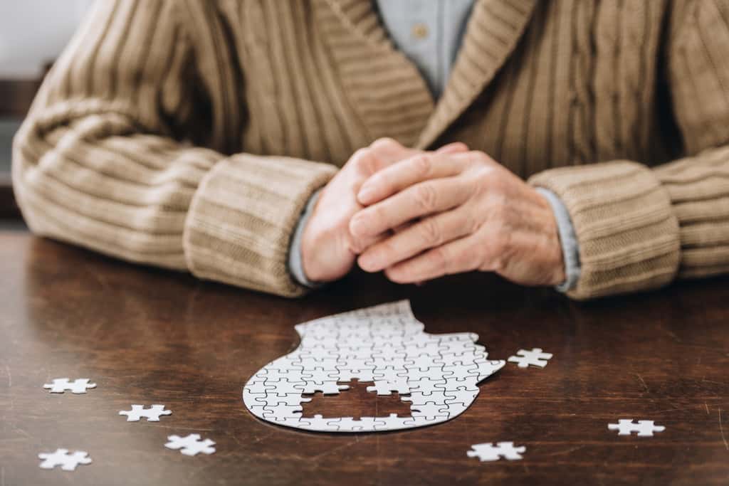 Parmi toutes les démences, on estime que la maladie d'Alzheimer occupe une fréquence comprise entre 60 et 80 %, ce qui en fait la forme de démence la plus courante. © Lightfields Studios, Adobe Stock