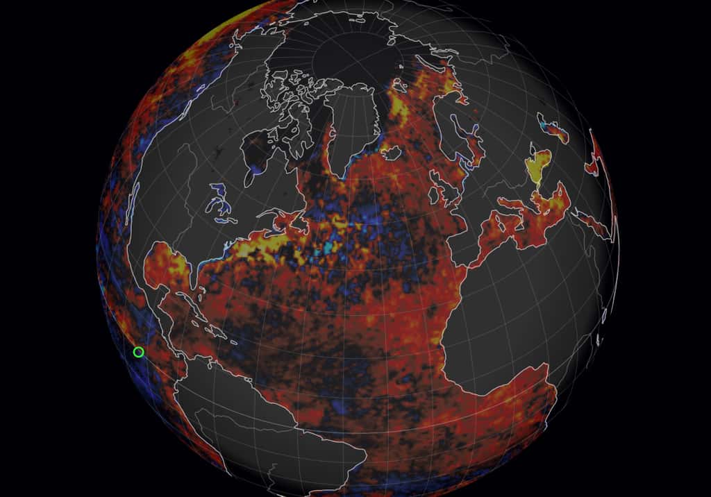 En rouge, les zones où la température de l'océan est supérieure à la moyenne. En jaune, les zones où cette anomalie de chaleur est la plus forte, et en bleu, les zones où la température est inférieure à la moyenne. © Nullschool