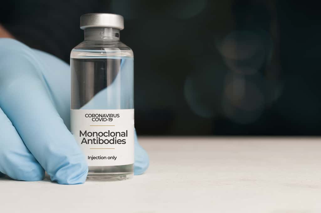  Les anticorps monoclonaux peuvent avoir des propriétés immunomodulatrices. © cristianstorto, Adobe Stock