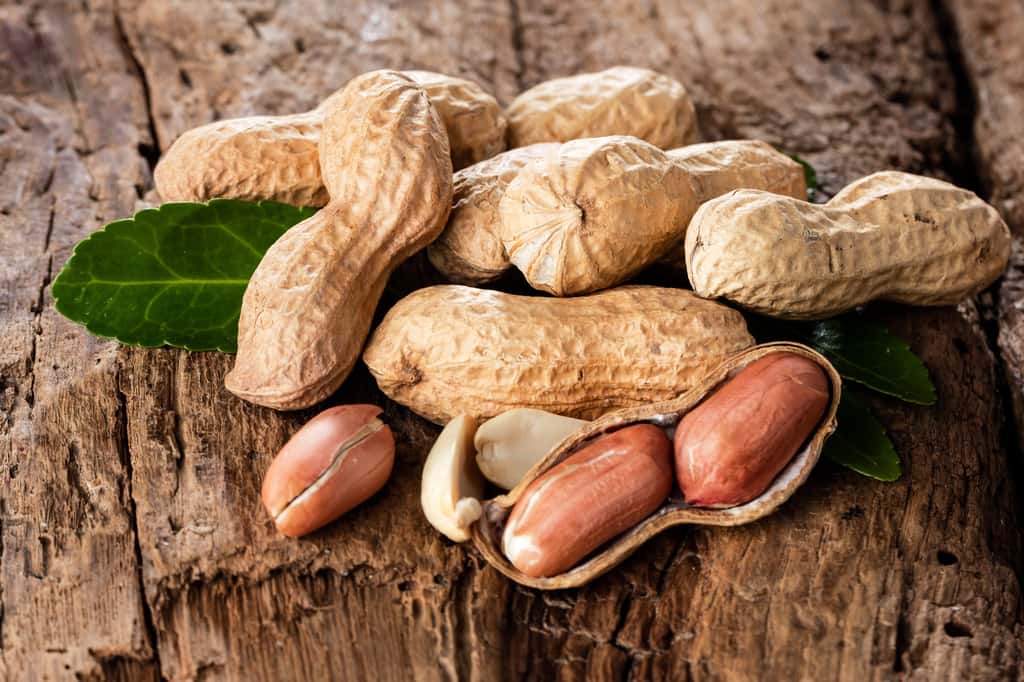 Les cacahuètes sont l'un des allergènes alimentaires les plus courants chez les enfants. © karepa, Fotolia