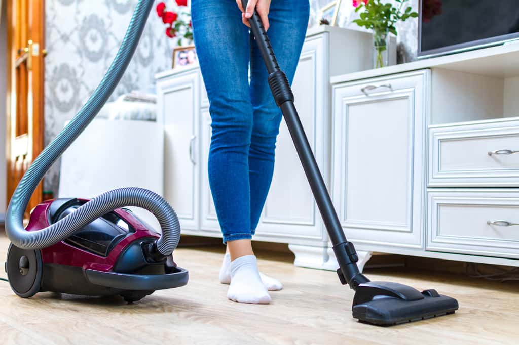 Avec ou sans sac, l'aspirateur traîneau est incontournable pour nettoyer ses sols. © Goffkein, Adobe Stock