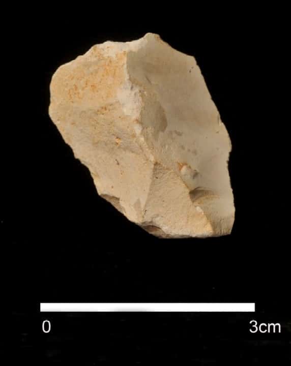Ce silex a été taillé voici 1,4 million d'années par un représentant du genre <em>Homo</em>. Il pourrait avoir servi de couteau, même s'il ne fait que 3 cm de long. © Jordi Mestre, <em>Equipo de Investigación de Atapuerca </em>(EIA)
