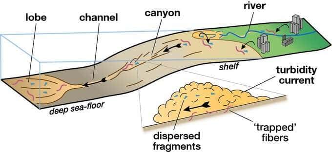 Un schéma expliquant le processus d'avalanche sous-marine et comment de grandes quantités de sédiments parviennent jusqu'aux profondeurs océaniques. © Université de Manchester