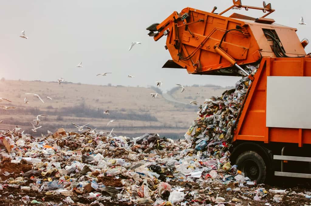 Incinérer les déchets s'accompagne d'impacts dévastateurs sur l'environnement. ©Dalibor Danilovic, Adobe Stock