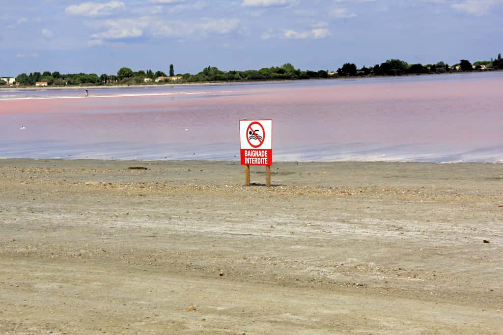 Lorsque des contaminants bactériologiques sont détectés, la baignade est interdite, au moins jusqu'à la prochaine mesure. © helenedevun, Adobe Stock