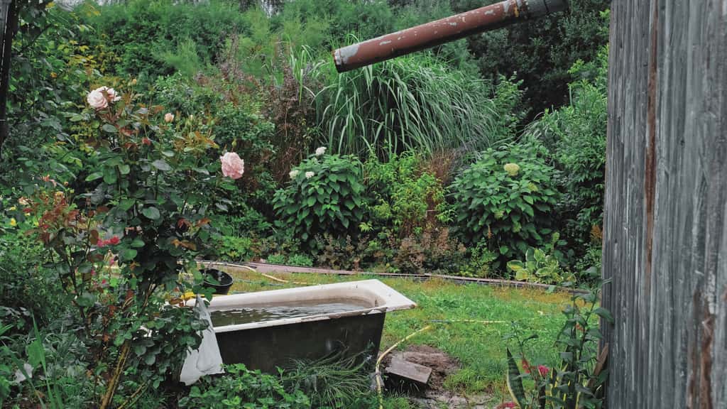 Cette vieille baignoire qui traîne au fond du jardin mérite mieux que d'être abandonnée. Redonnez-lui une utilité en la transformant en bassin fleuri. © rohawk, Adobe Stock
