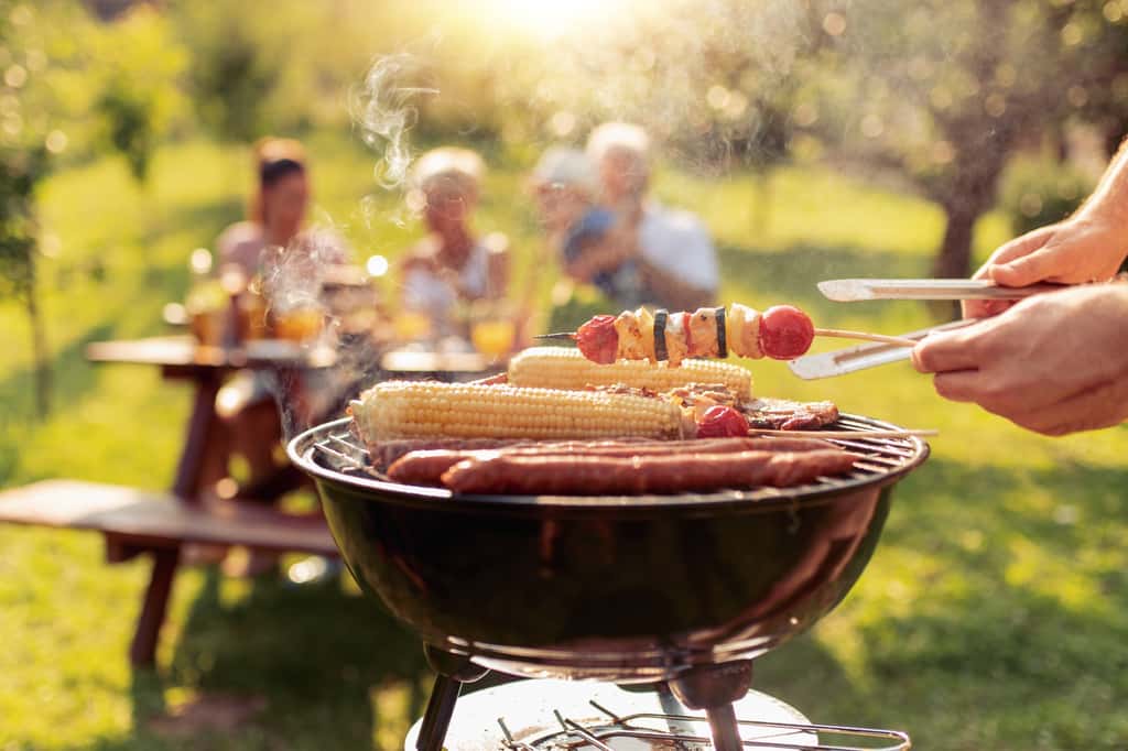 L'été est là. Quel barbecue choisir ? Voici nos conseils pour en bien profiter. © ivanko80, Adobe Stock