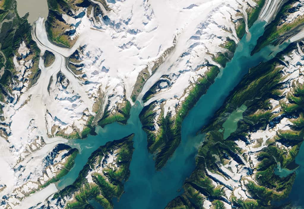 Image satellite de la région de Barry Arm et les glaciers qui y descendent, le 13 septembre 2013. © Nasa
