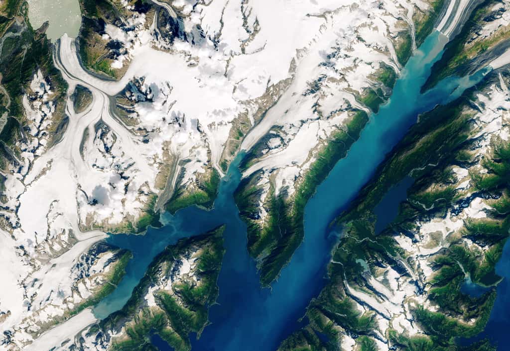 Image satellite de la région de Barry Arm, le 23 août 2019. Le retrait du glacier Barry est bien visible. La montagne menace de s'écrouler dans le fjord. © Nasa