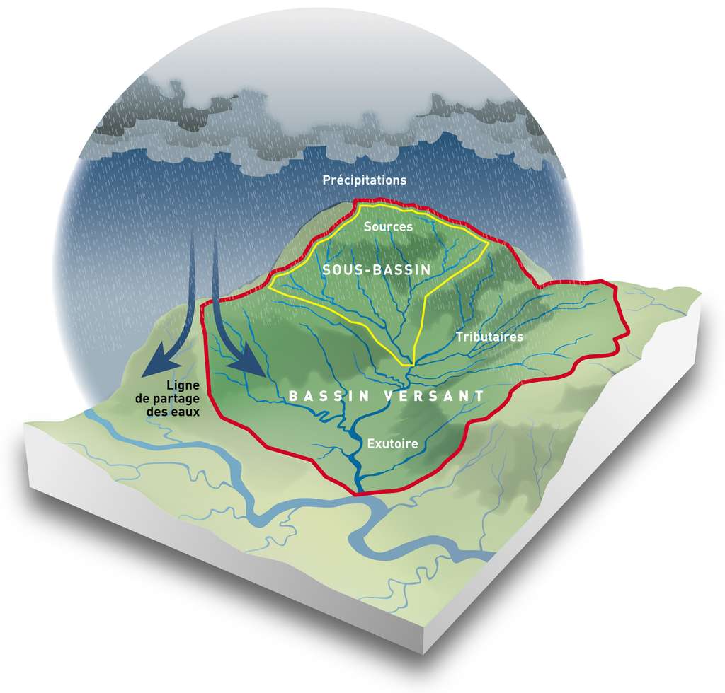 Illustration d'un bassin versant, à l'échelle duquel se pratique l'hydrologie régénérative. © Graphitèque, Adobe Stock 