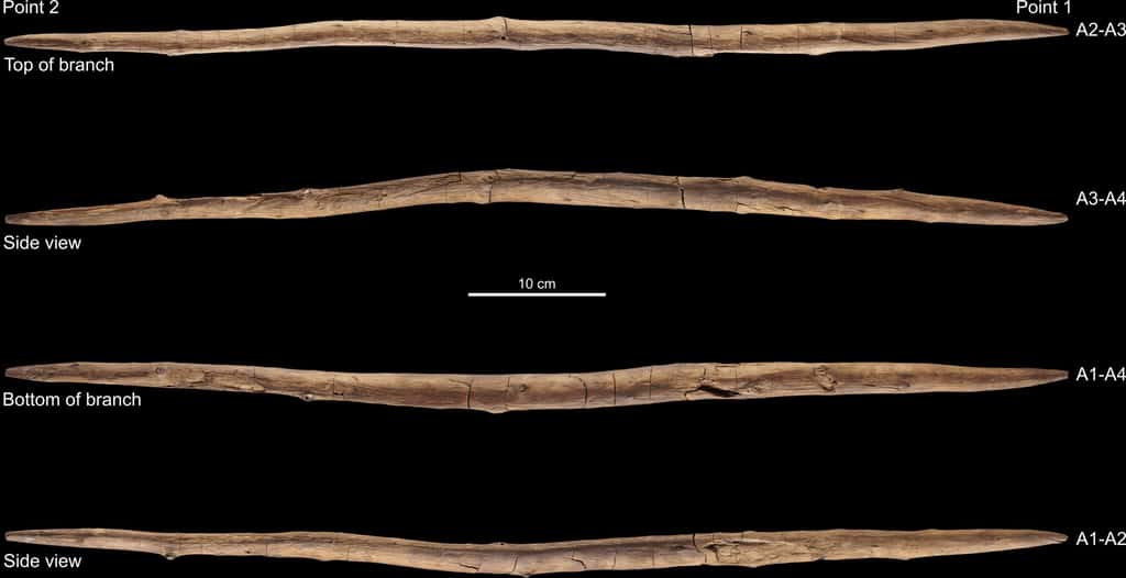 Le bâton bi-pointe est vu selon différents angles. On remarque que la courbure naturelle de la branche est en partie conservée. © V. Minkus, Milks <em>et al</em>. (2023)