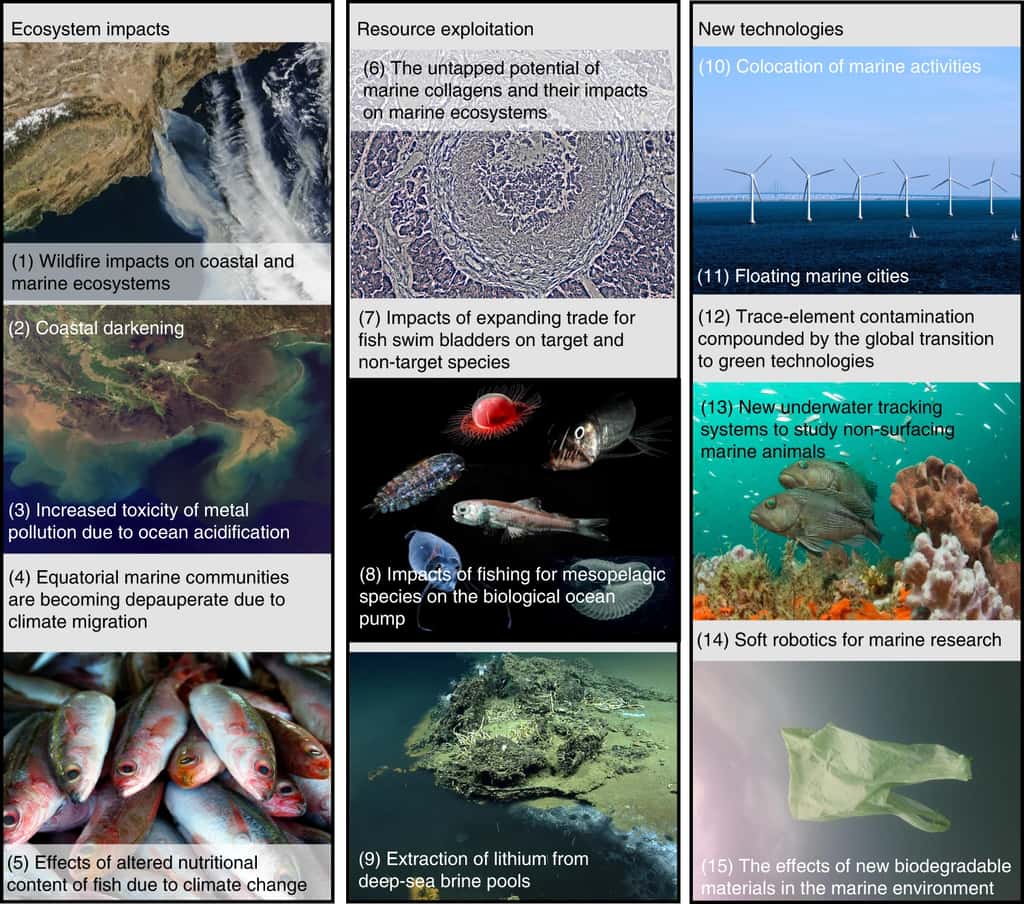 Les 15 impacts futurs majeurs sur les écosystèmes marins, selon les chercheurs. © Herbert-Read, J.E., Thornton, A., Amon, D.J. et al. 