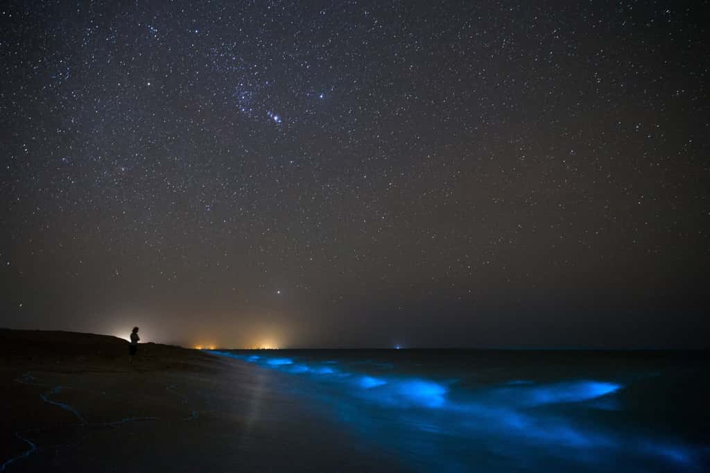 Sur Terre, la bioluminescence dans les océans est souvent due aux phytoplanctons, comme ici sur une plage en Iran. © sghiaseddin, Adobe Stock