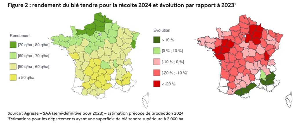 Le rendement de blé tendre en France en 2024 et la comparaison de la production avec celle de 2023. © Agreste, SAA