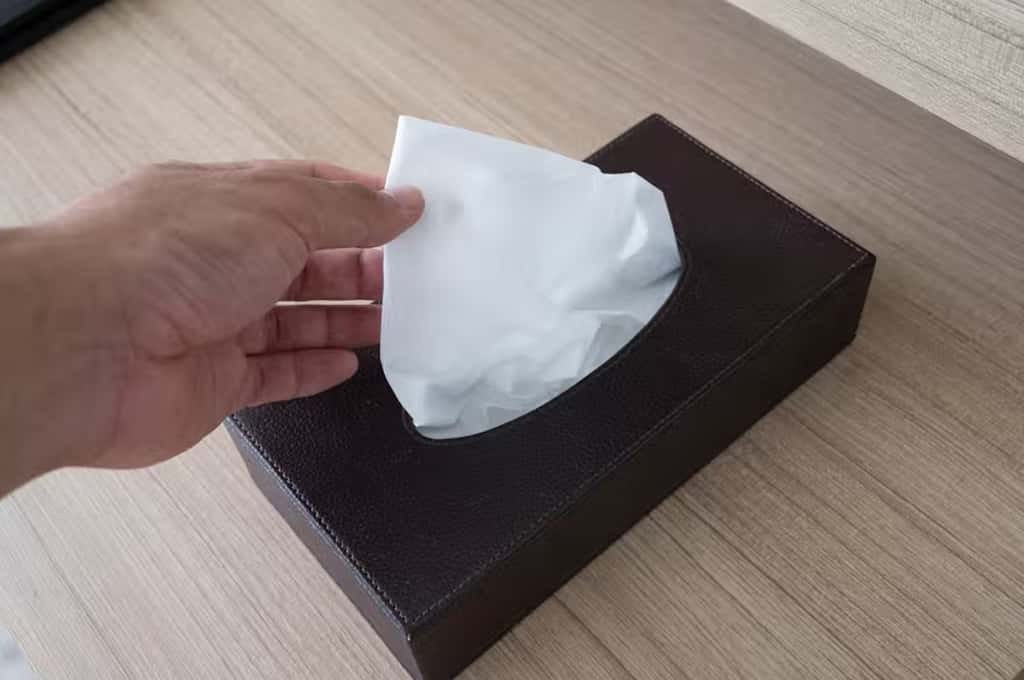 Certaines personnes plus soucieuses de l’hygiène et plus respectueuses utilisent un mouchoir en papier pour procéder au ramassage, puis le jettent ensuite dans une poubelle ou dans les toilettes. © Shutterstock 