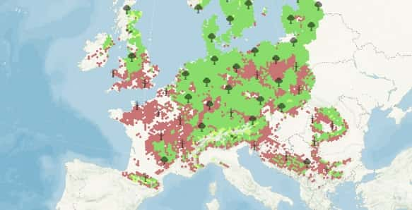 L'évolution du bouleau d'ici 2095 en cas de réchauffement modéré. © Nos forêts demain