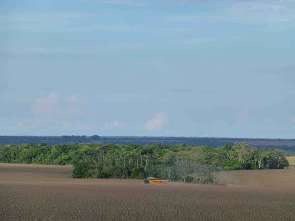 Paysage du Mato Grosso, dans lequel les grandes cultures se sont considérablement étendues au détriment des écosystèmes naturels de savane ou de forêt amazonienne. © Martin Delaroche, CC by-nc-nd