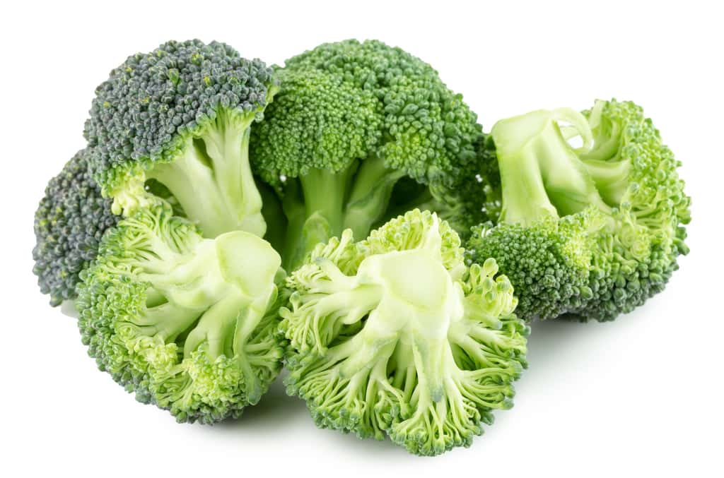 Le brocoli est l’aliment le plus riche en sulforaphane, mais d’autres crucifères comme le chou en contiennent aussi. © yurakp, Fotolia