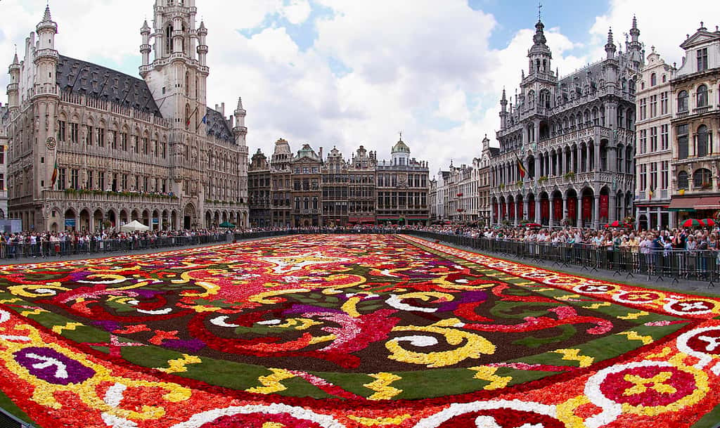 Toutes les années paires, le 15 août, un tapis de fleurs éphémère recouvre la Grand-Place de Bruxelles. © Wouter Hagens, Wikimedia Commons, CC by-sa 3.0